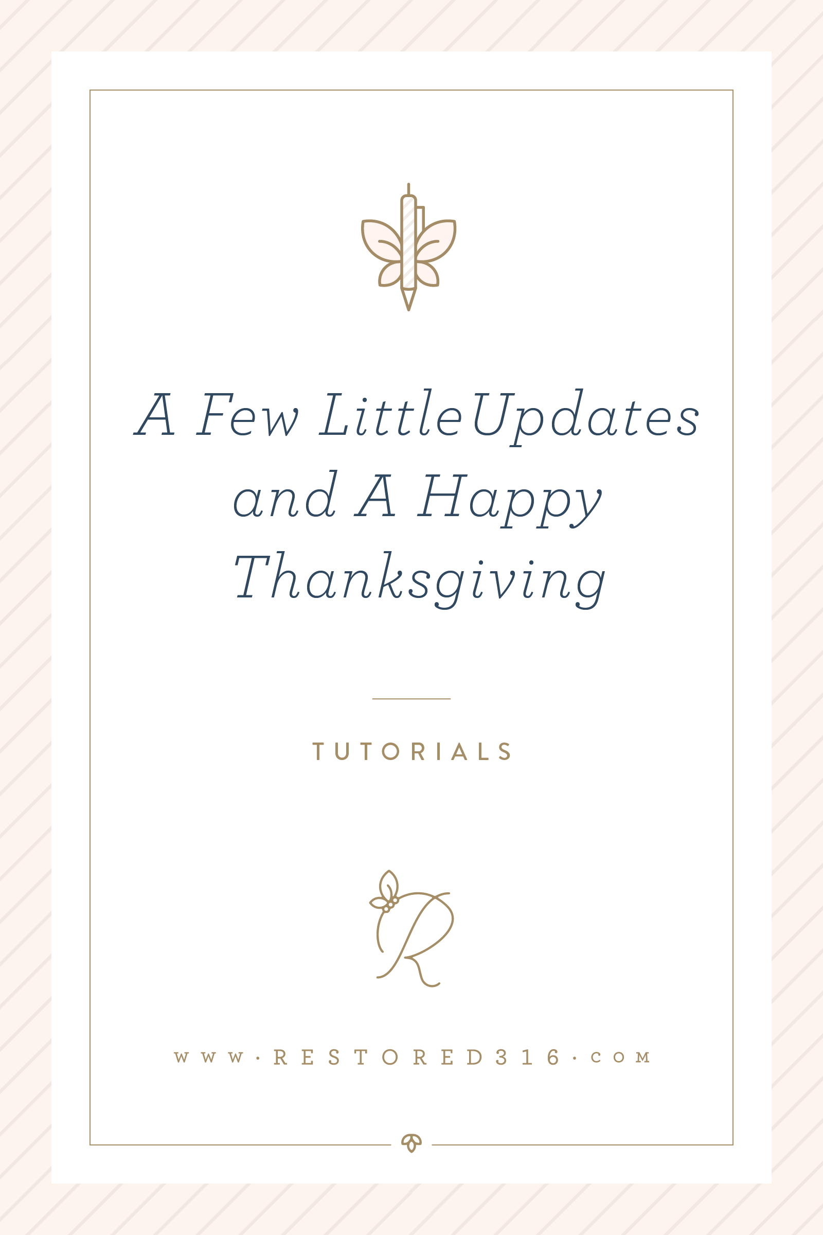 A few little updates and a Happy Thanksgiving