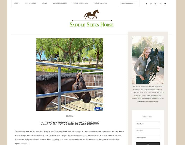 saddle-seeks-horse