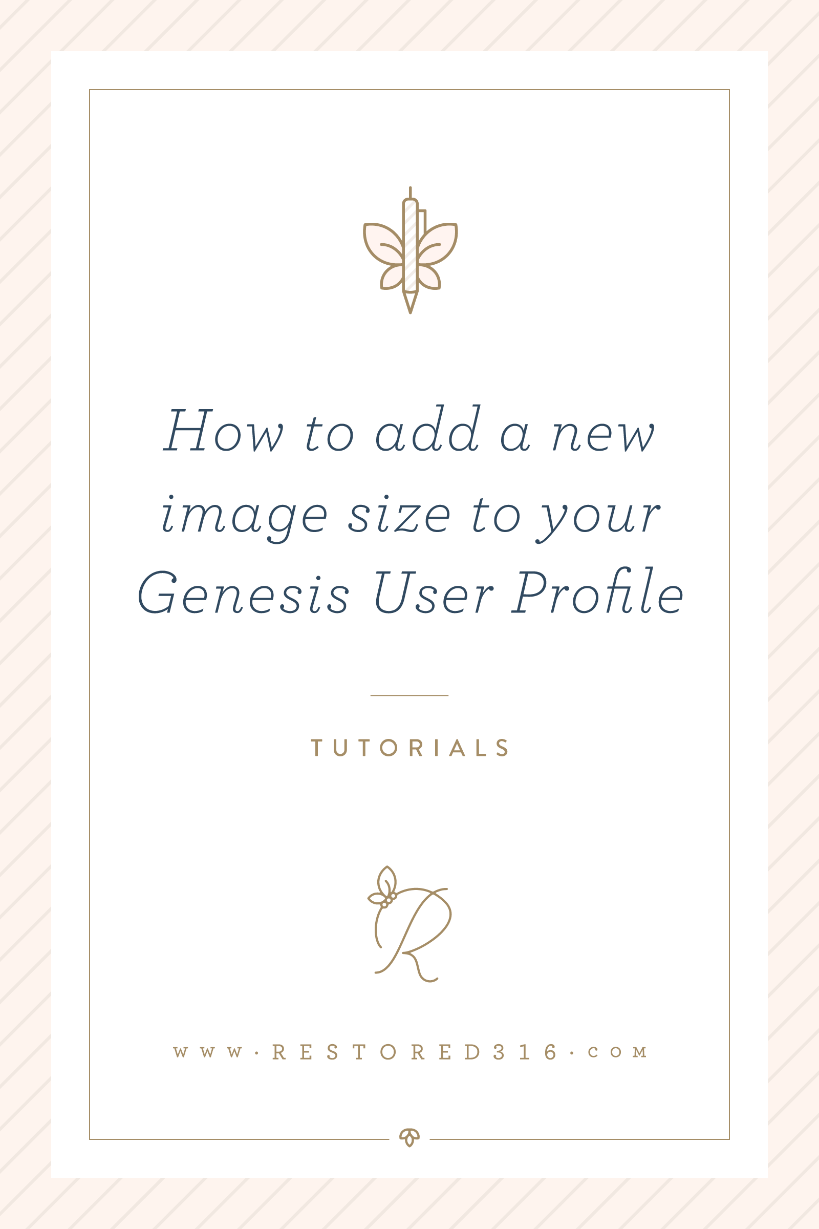How to add a new image size to your Genesis User Profile widget